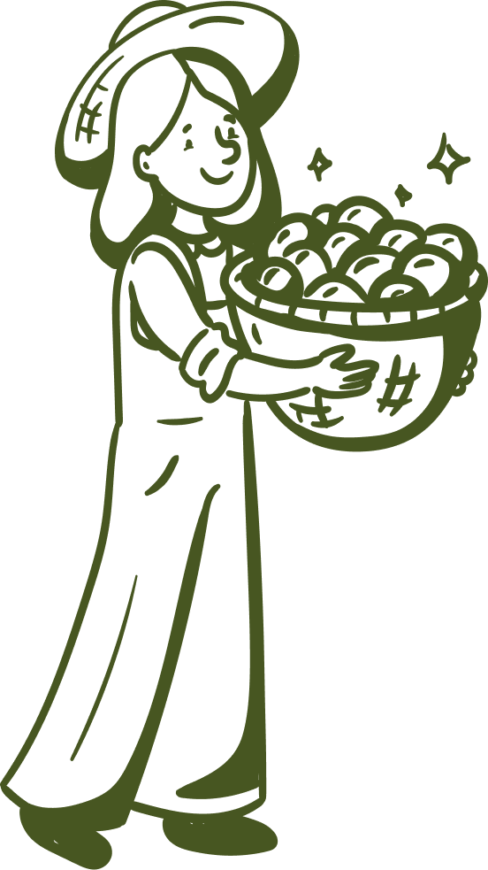 Flavours straight from the fruit basket