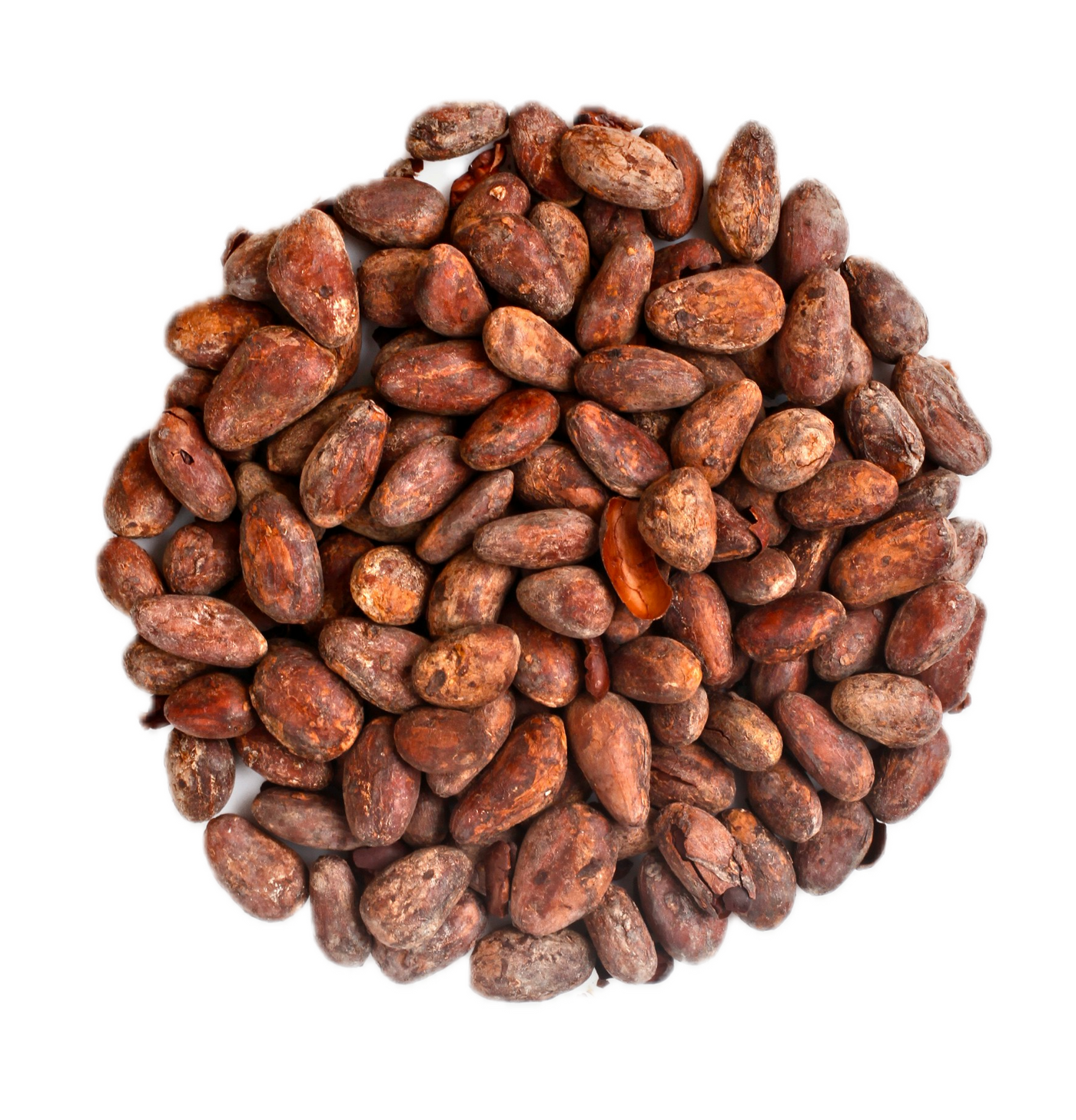 Pile of cocoa beans on a white background