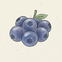 Blueberry Field