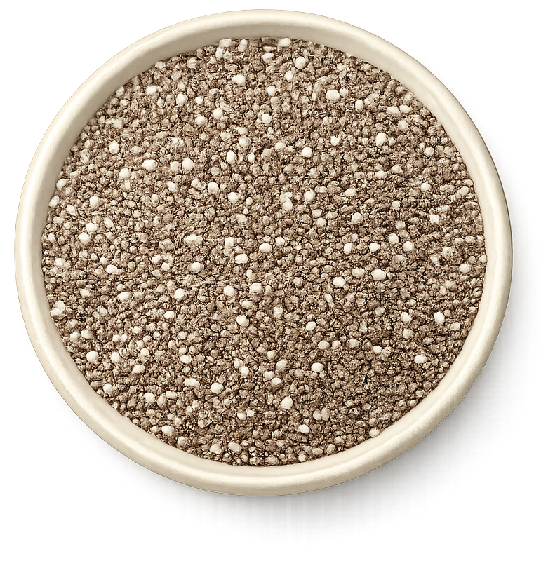Small bowl filled with chia seeds on a white background