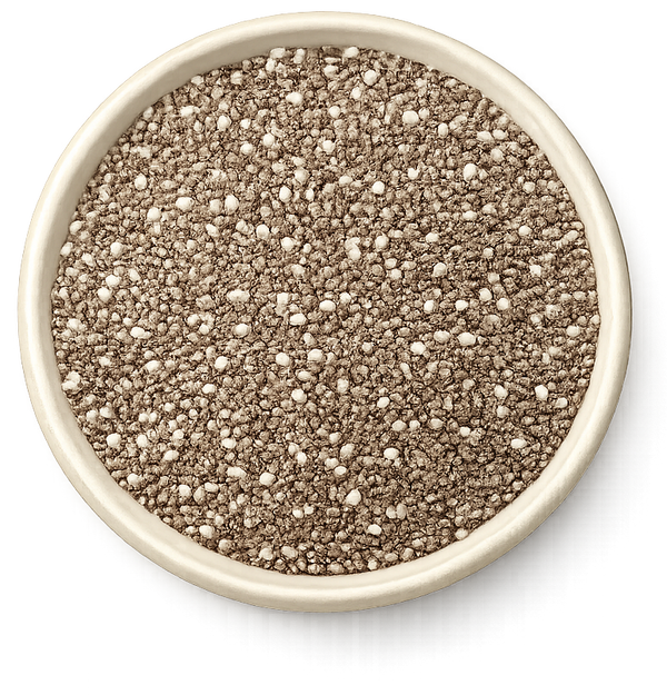 Small bowl filled with chia seeds on a white background