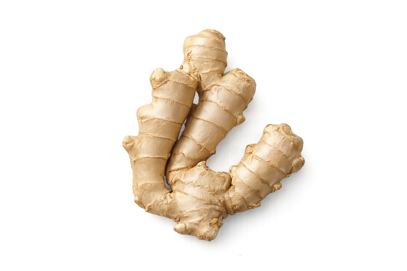Ginger
