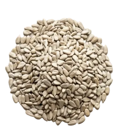 Beige plate with sunflower seeds on a white background